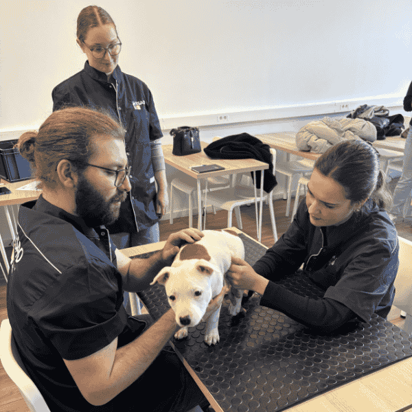 Centre de consultations Lisieux ESAO