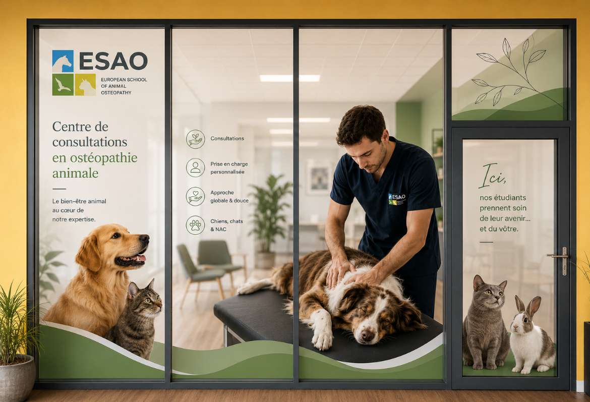 Nouveau centre de consultations en ostéopathie animale ESAO à Lisieux